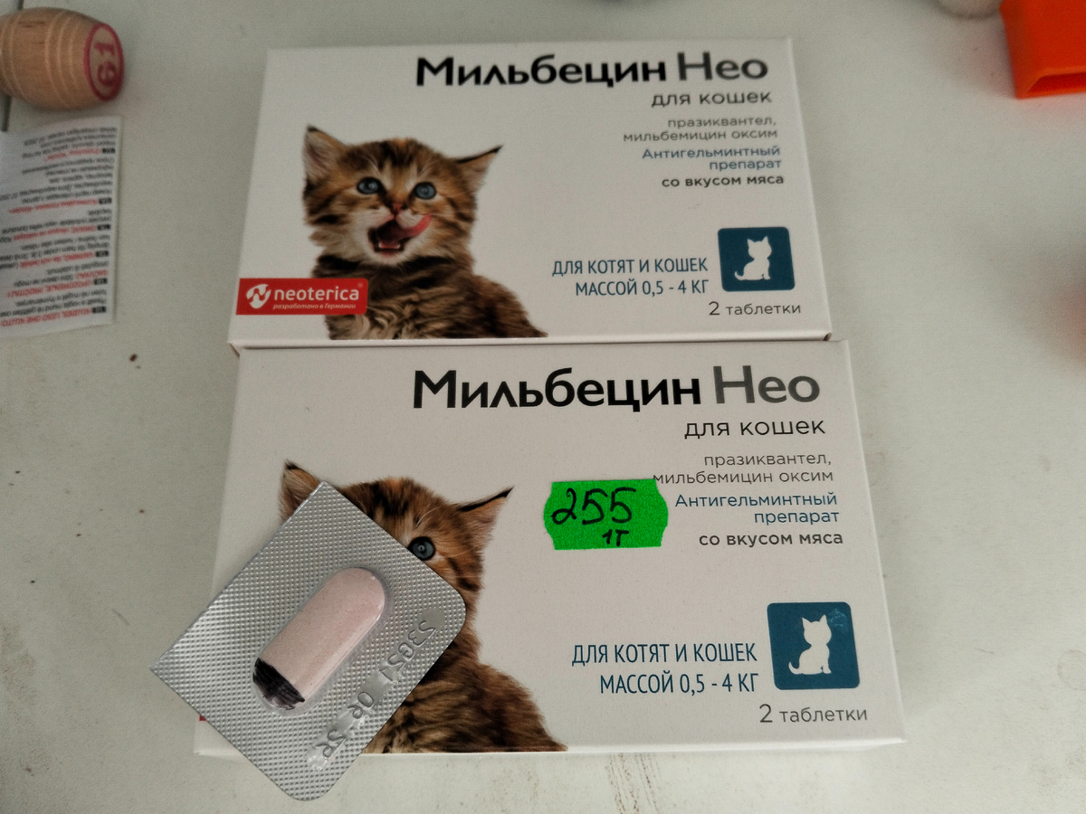 Купила таблетки для котят и собаки