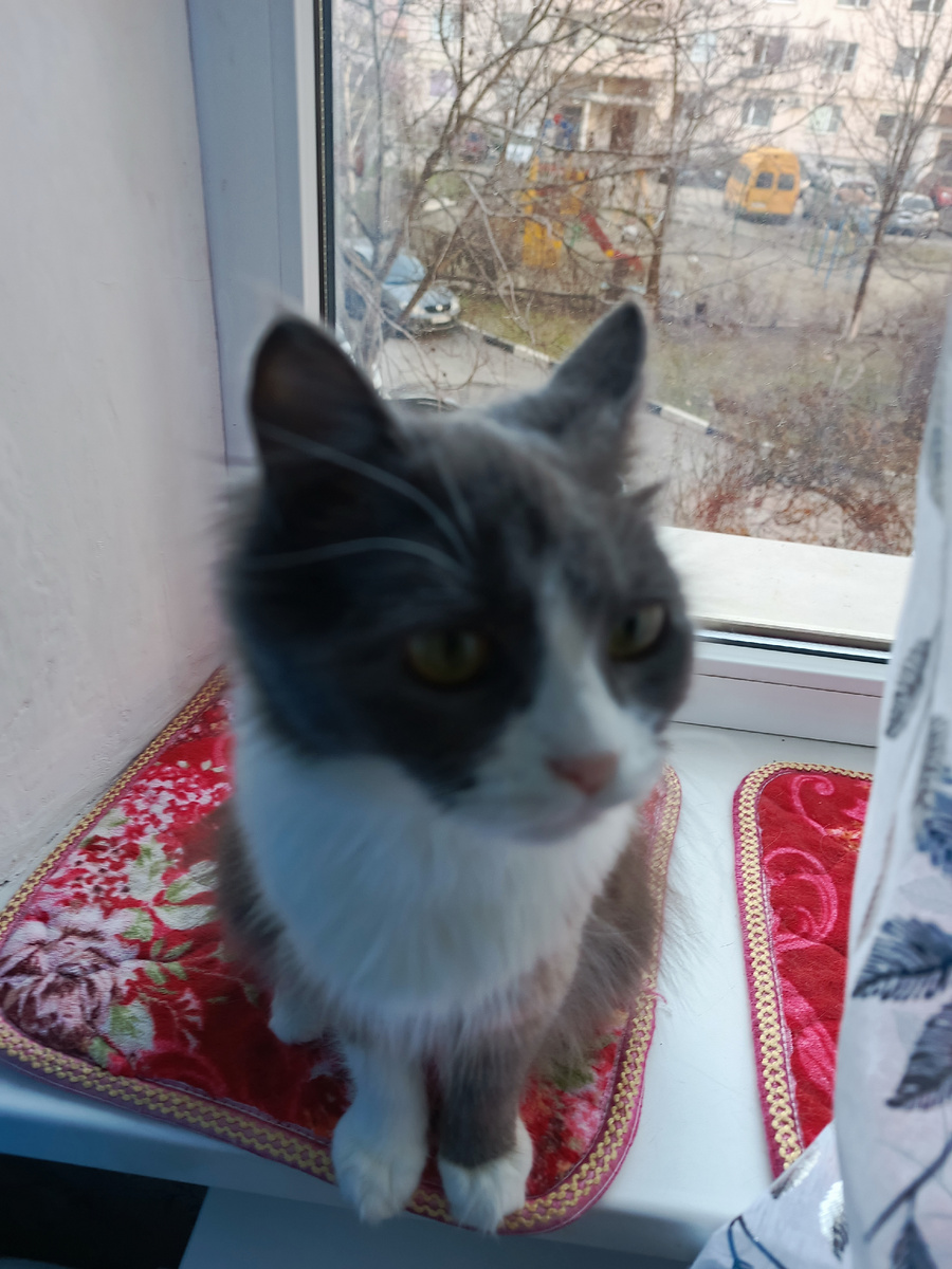 Фото автора