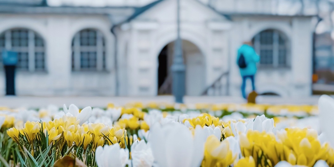 Весна в Зарядье: парк, выросший на месте гостинницы «России», встречает первые цветы.