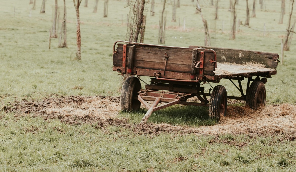    Фото: freepik.com