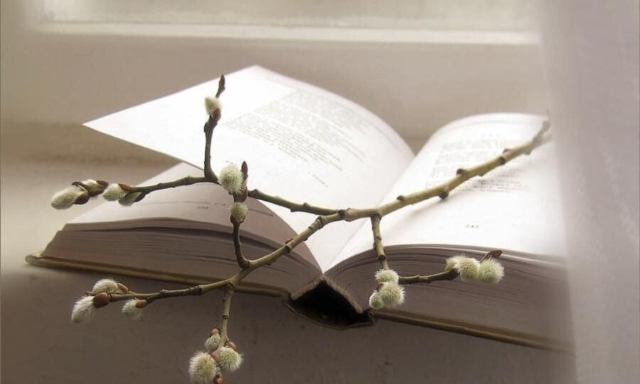 Книги, купленные в марте (2026). Часть вторая.