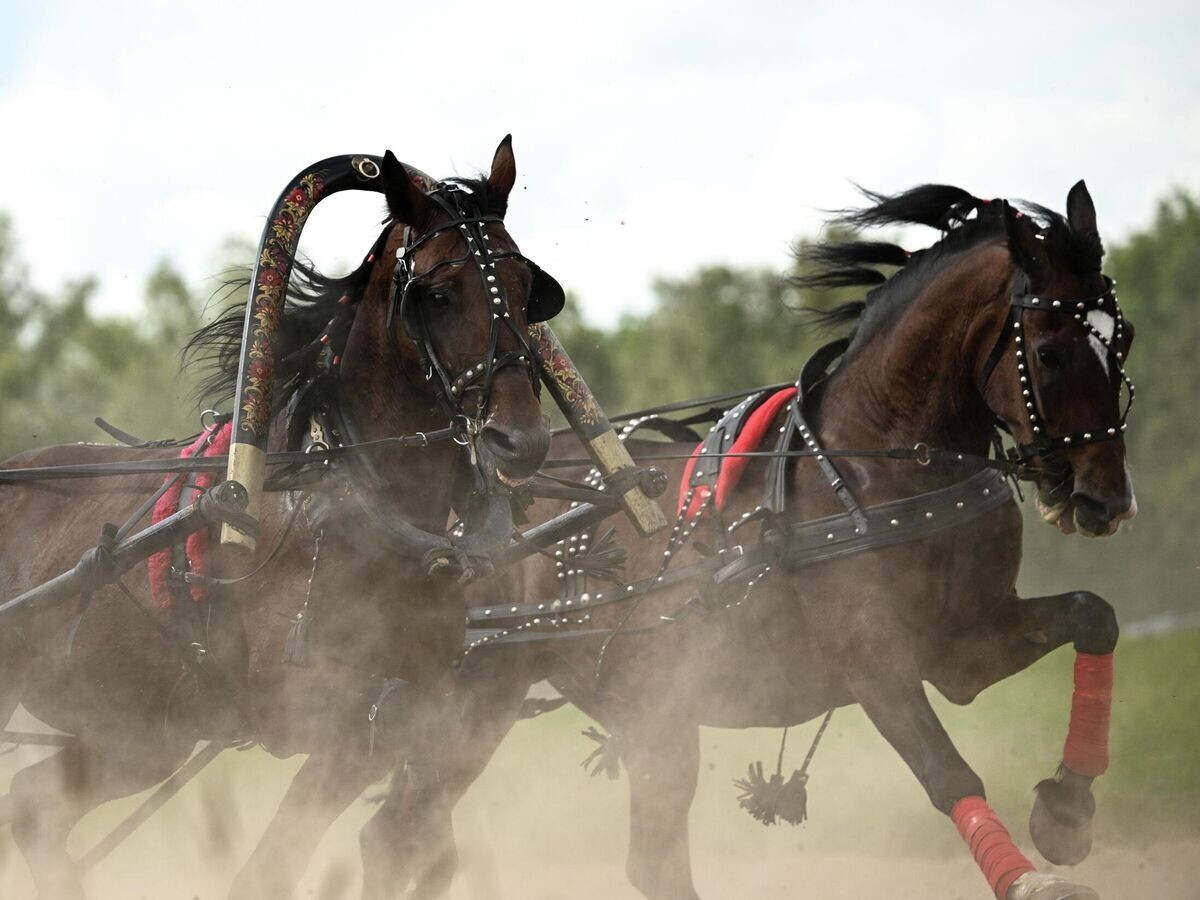    Русская тройка | © РИА Новости / Алексей Филиппов