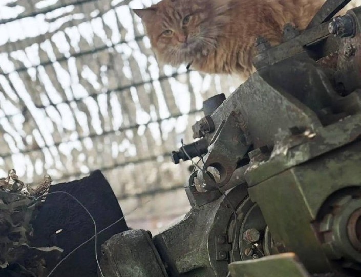 Доброе утро