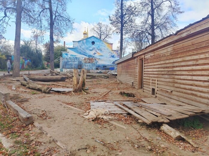    Фото: v-kurse.ru