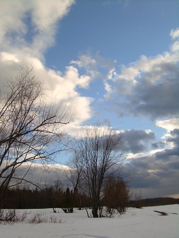 Фотографии Татьяны Немшановой разных лет. Весна на Крайнем Сеаере Западной Сибири ХМАО Югра, лес северный таёжный. Апрель северный таёжный. река Ятрия. В ожидании Пасхи.