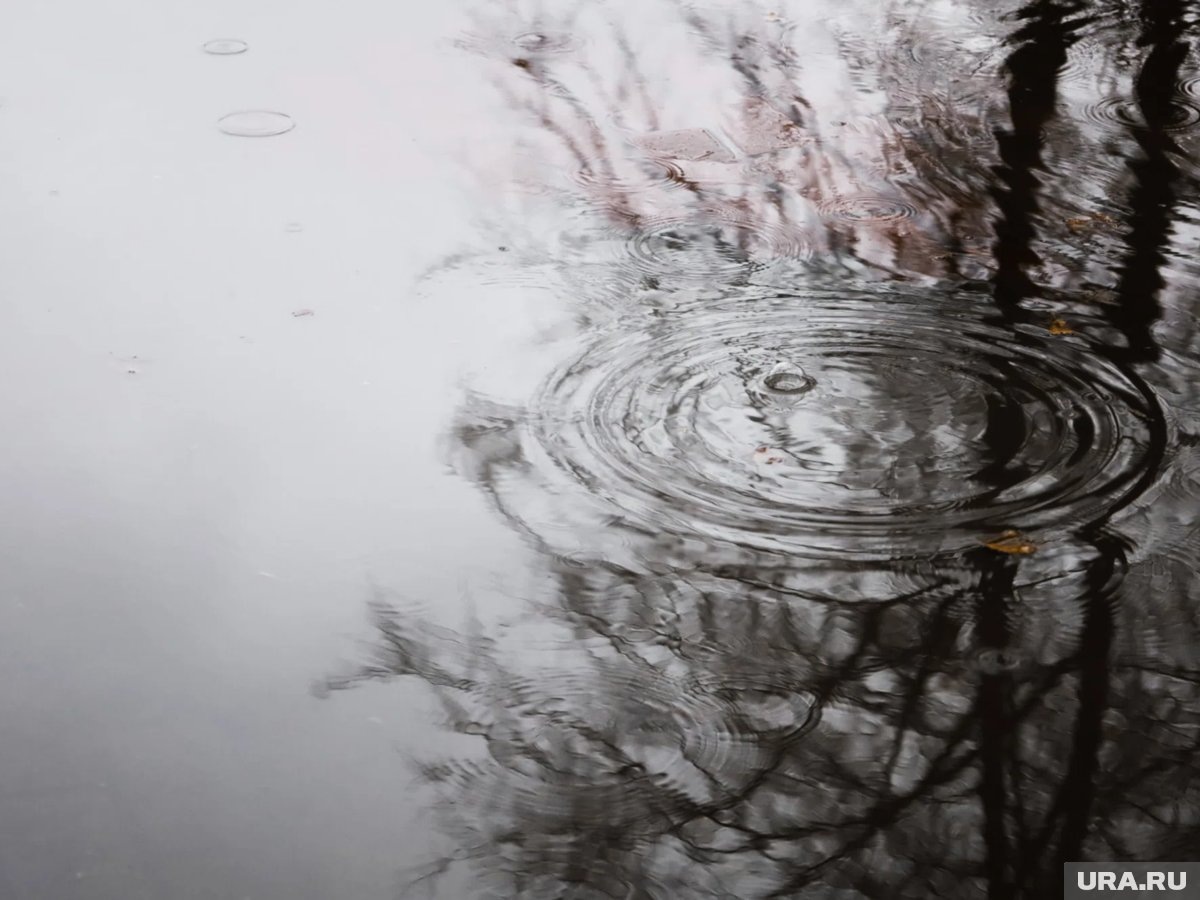     В одном из районов Ингушетии из-за дождей введен режим повышенной готовности