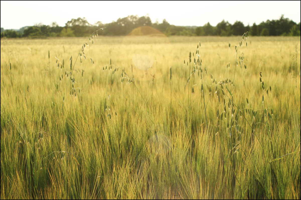 Здесь 2 фото, листайте >>