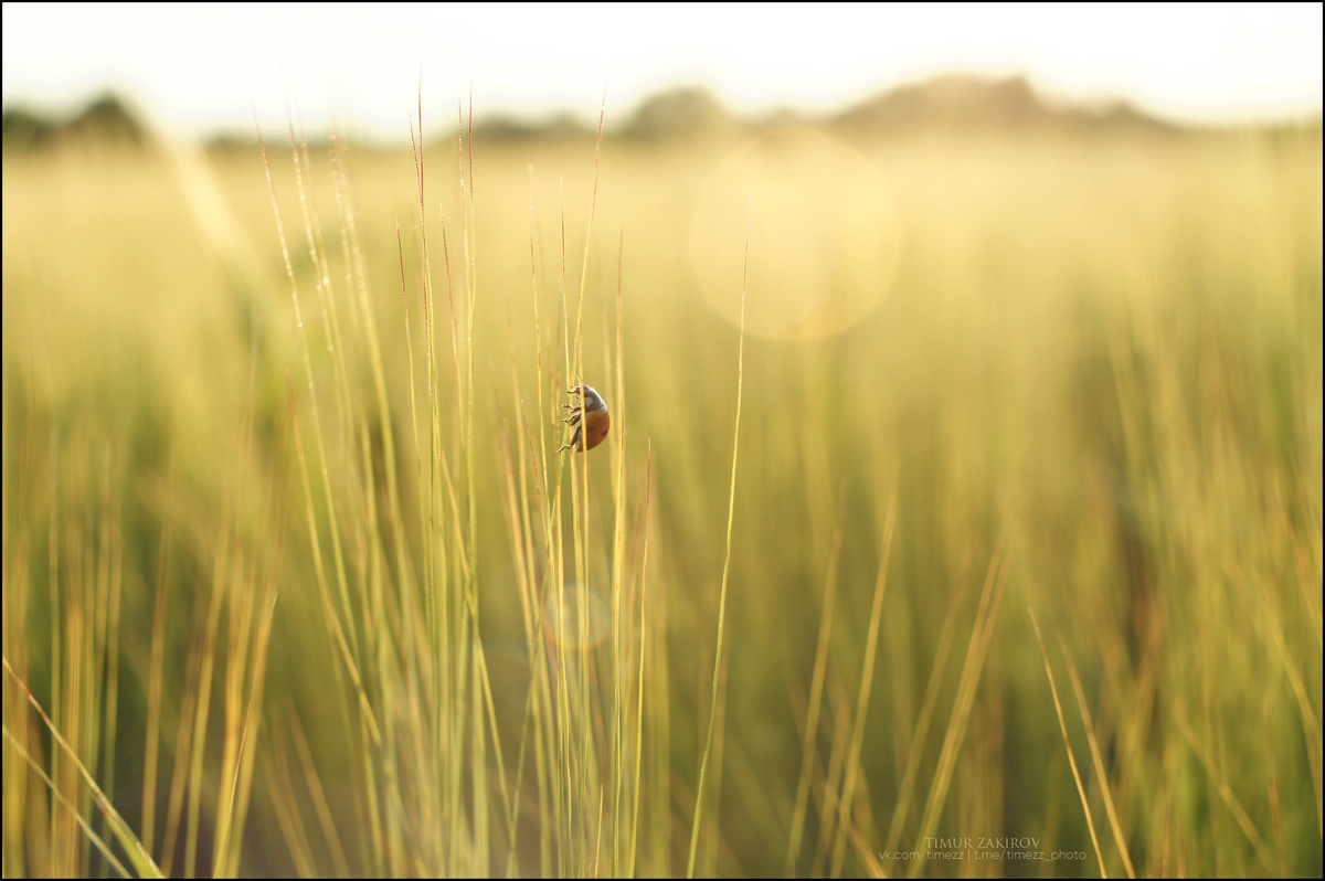 Здесь 4 фото, листайте >>