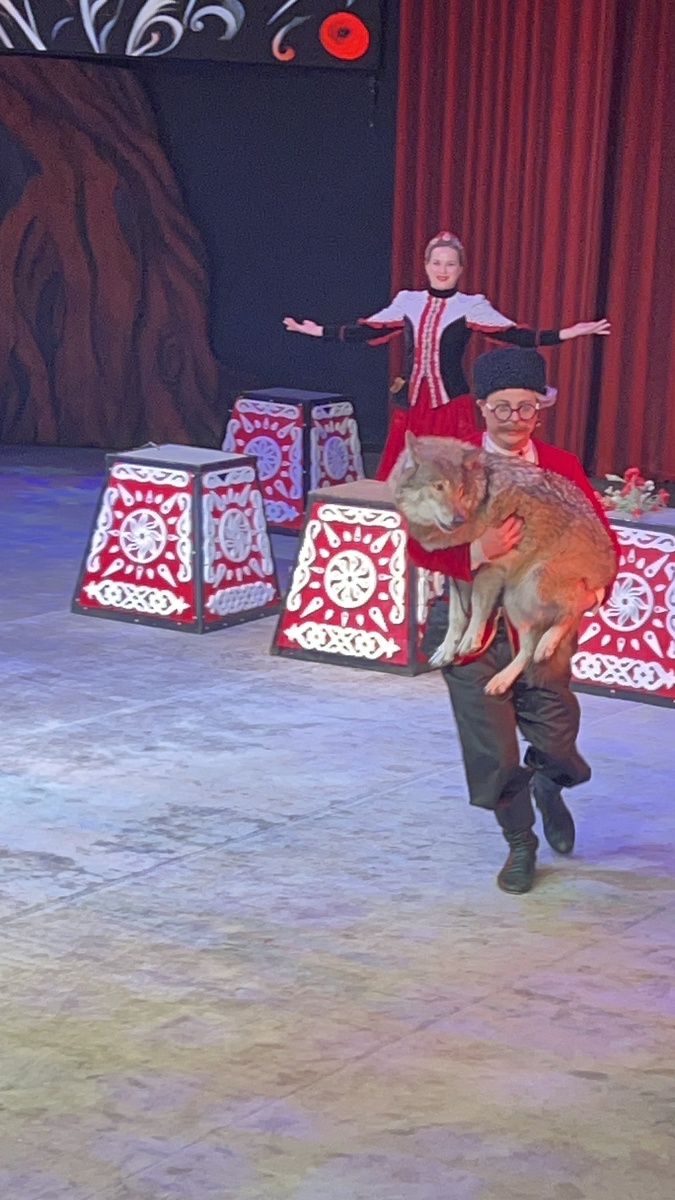 Ну как тут поверить, что это и вправду волк?! А дрессировщик его еще и в нос целовал!