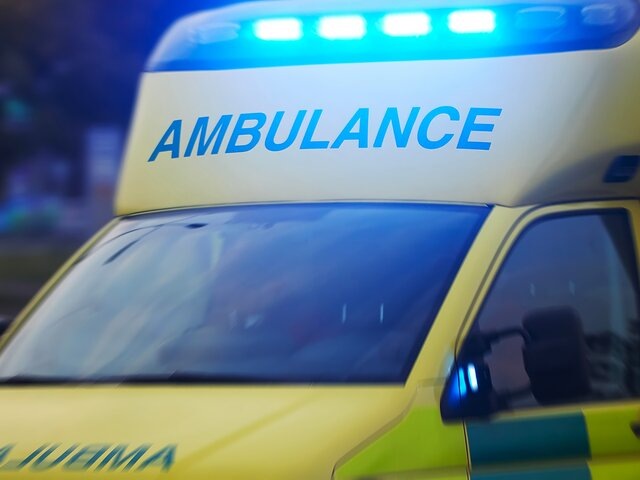    Фото: 123RF.com/chalabalа