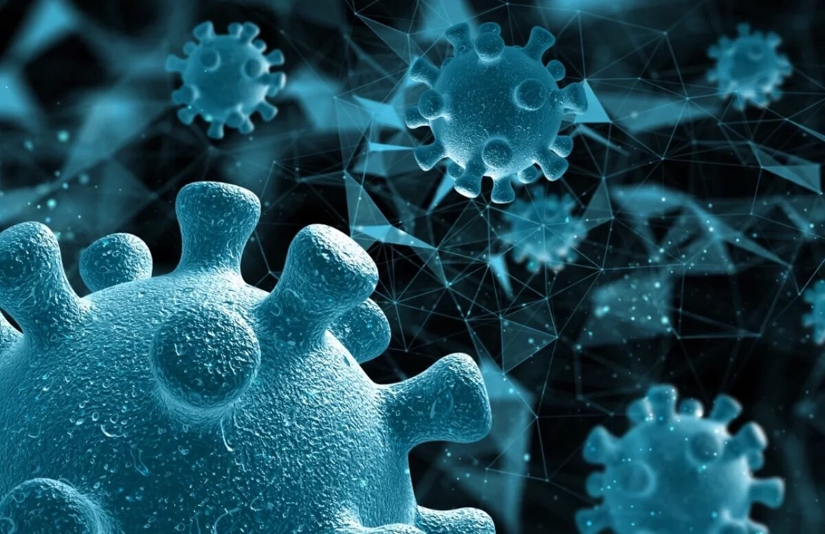    Разработанные в Хабаровском крае антимикробные полимеры оценили в Сколково