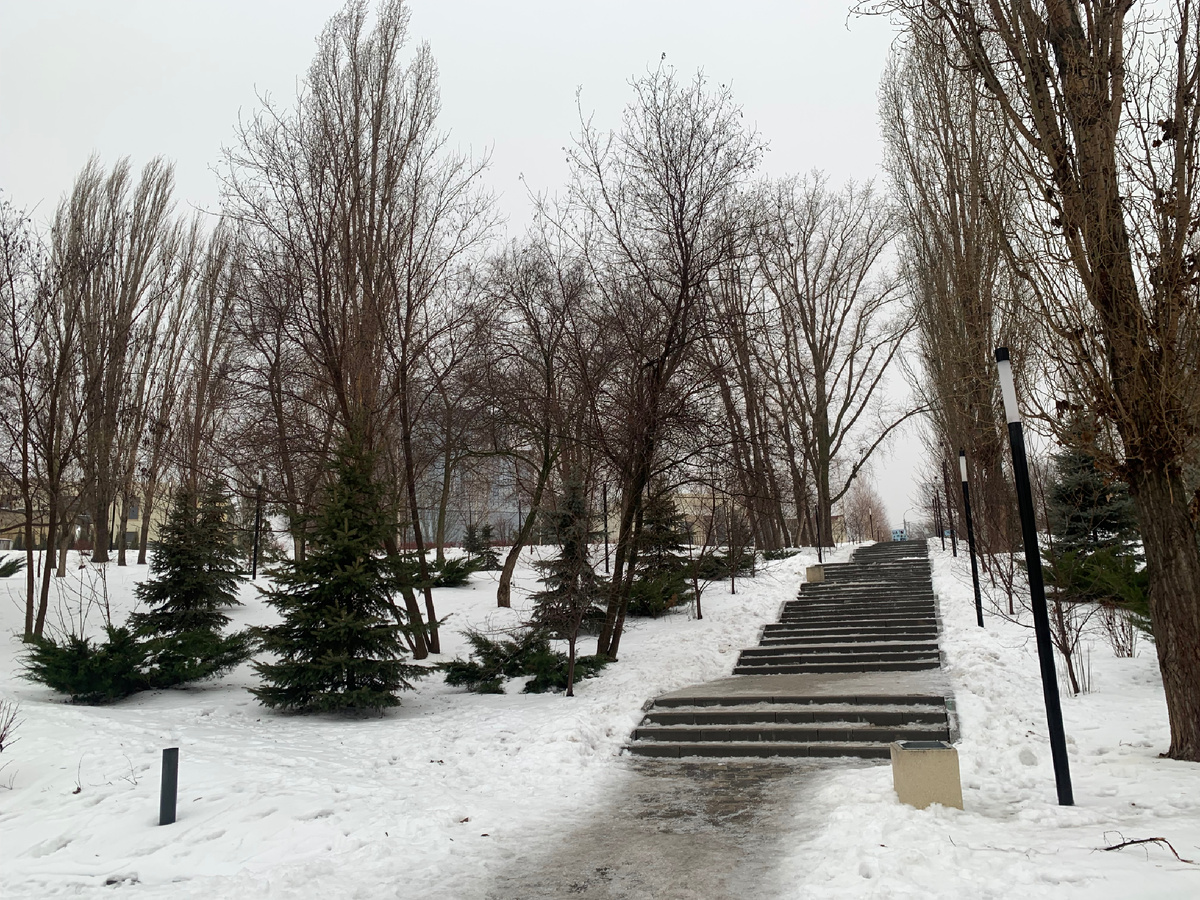 Это зимние фото 