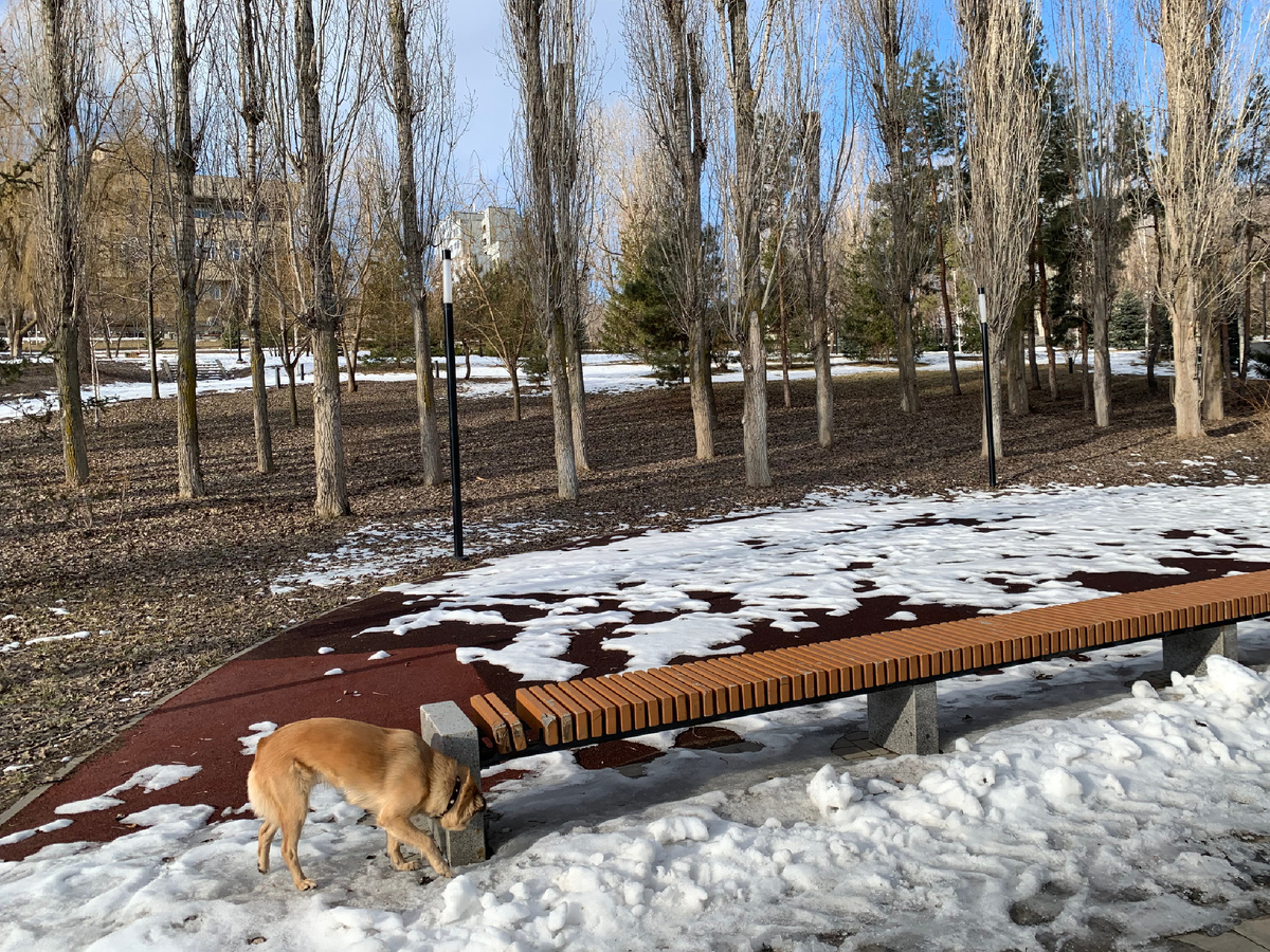 Прорезиненное покрытие зимовало под снегом