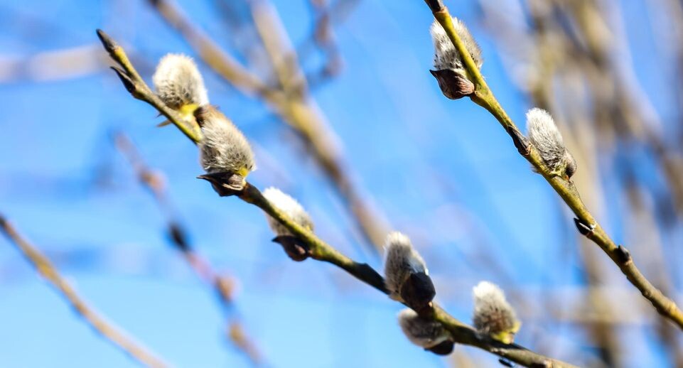    Elena Mayorova/Global Look Press / www.globallookpress.com