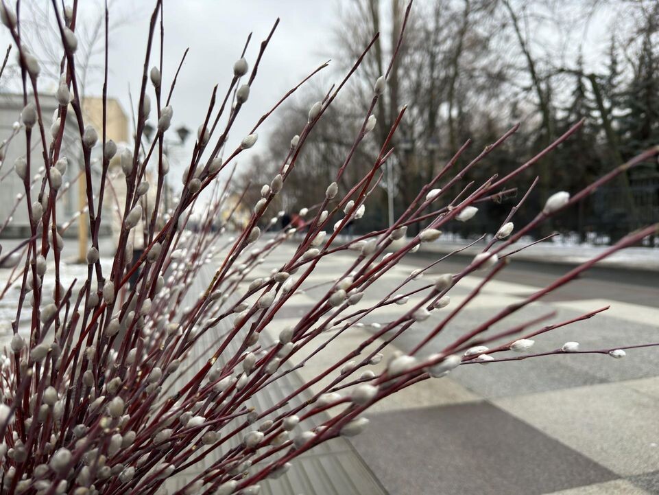    Alexander Legky / www.globallookpress.com