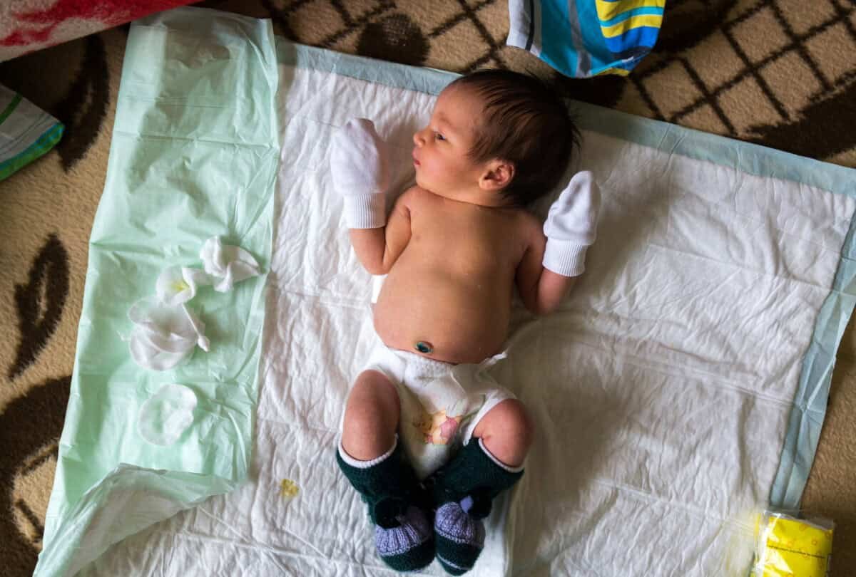    SONY DSC Василий Соколов