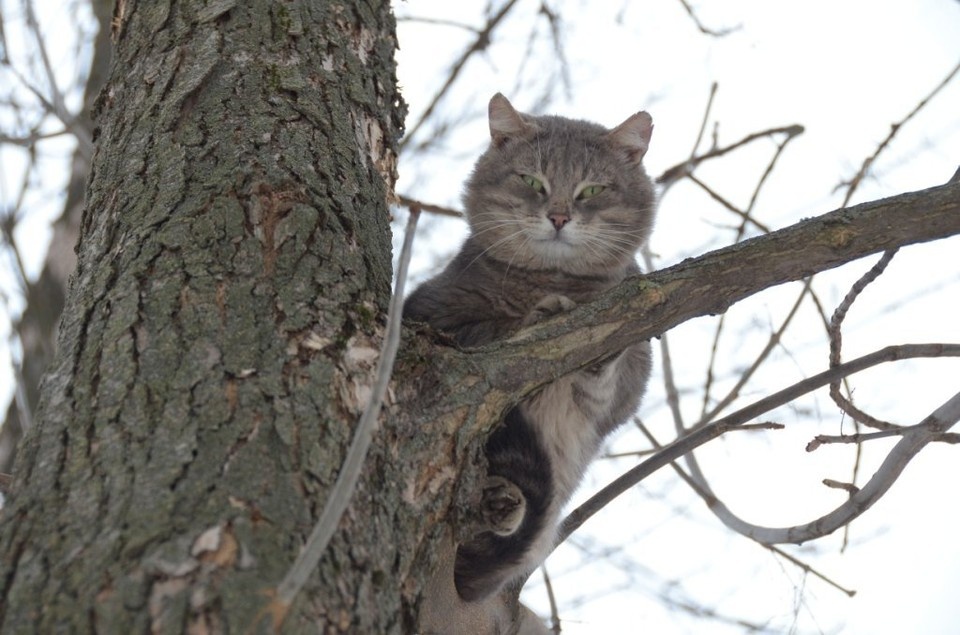    Солнечное воскресенье: прогноз погоды на 29 марта в Тульской области Алексей ФОКИН