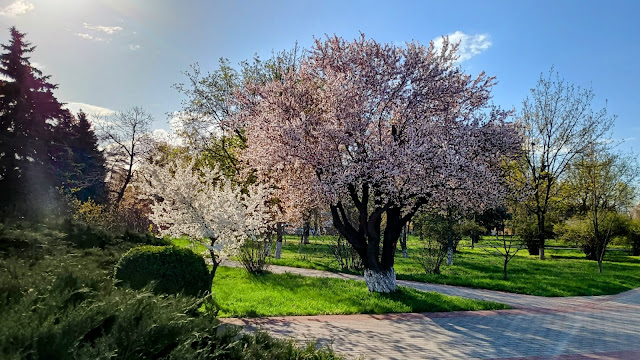 Весна - время радости...Не у всех и не всегда