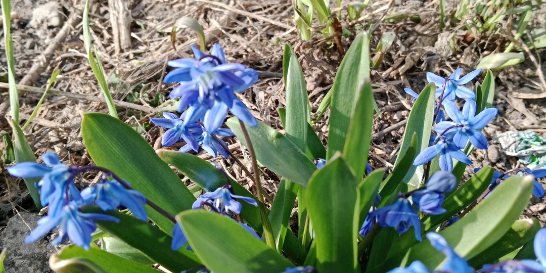 Два вопроса перед вечностью