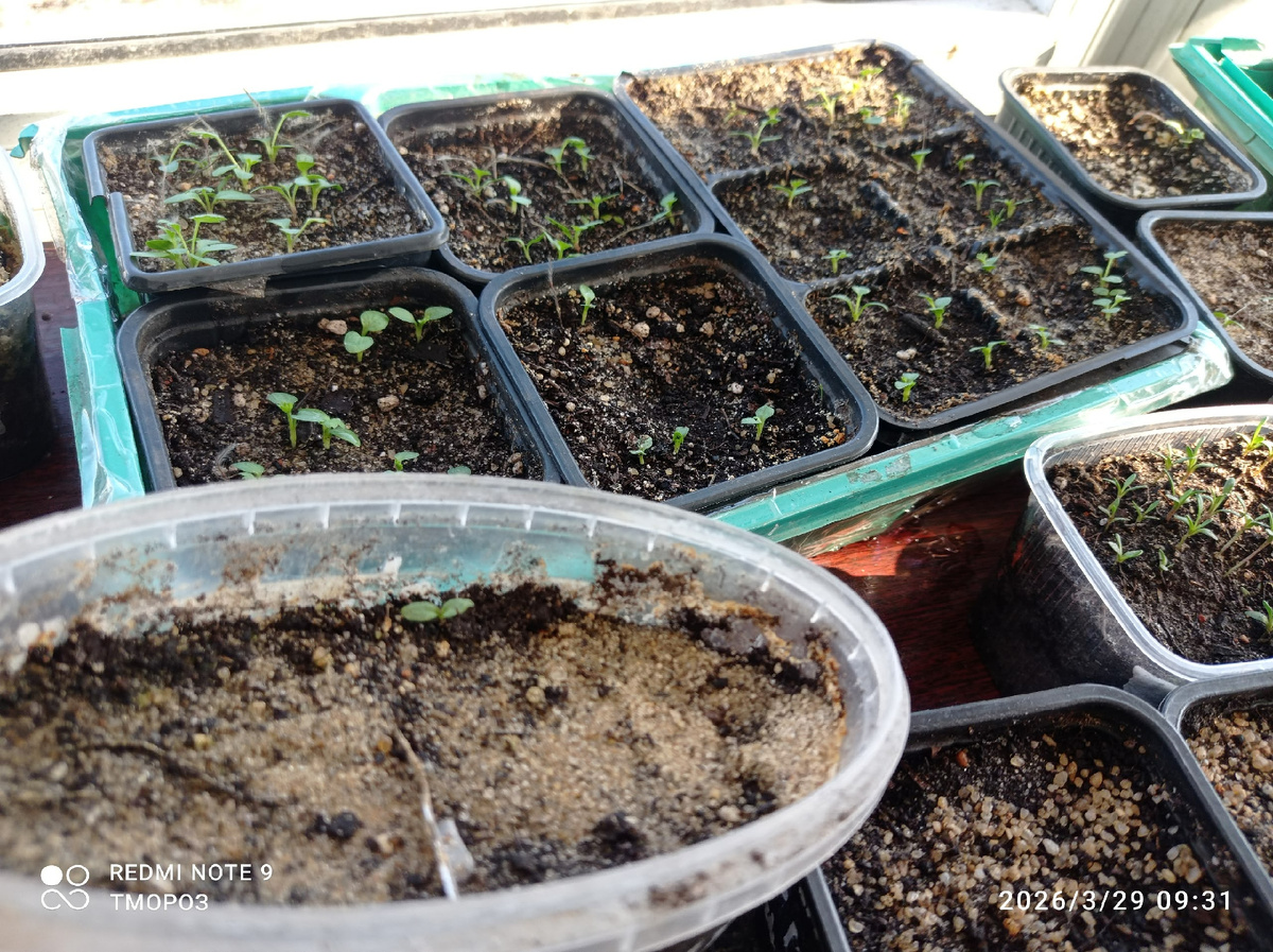 фото аавтора