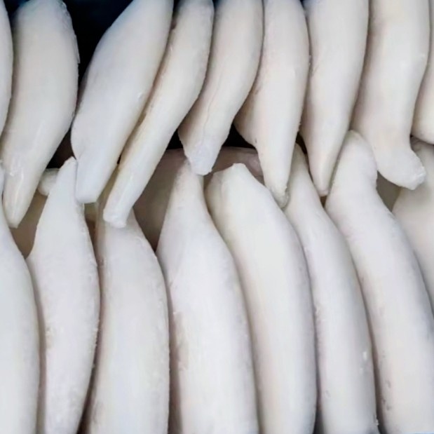 Кальмары в упаковке 