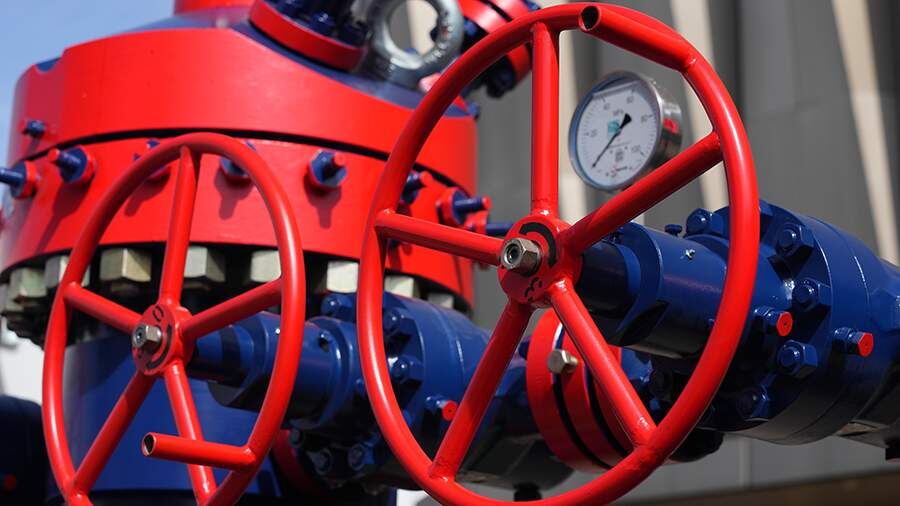    Фото: ИЗВЕСТИЯ/Дмитрий Коротаев