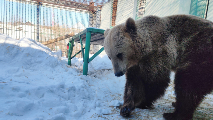    Фото: Большереченский зоопарк