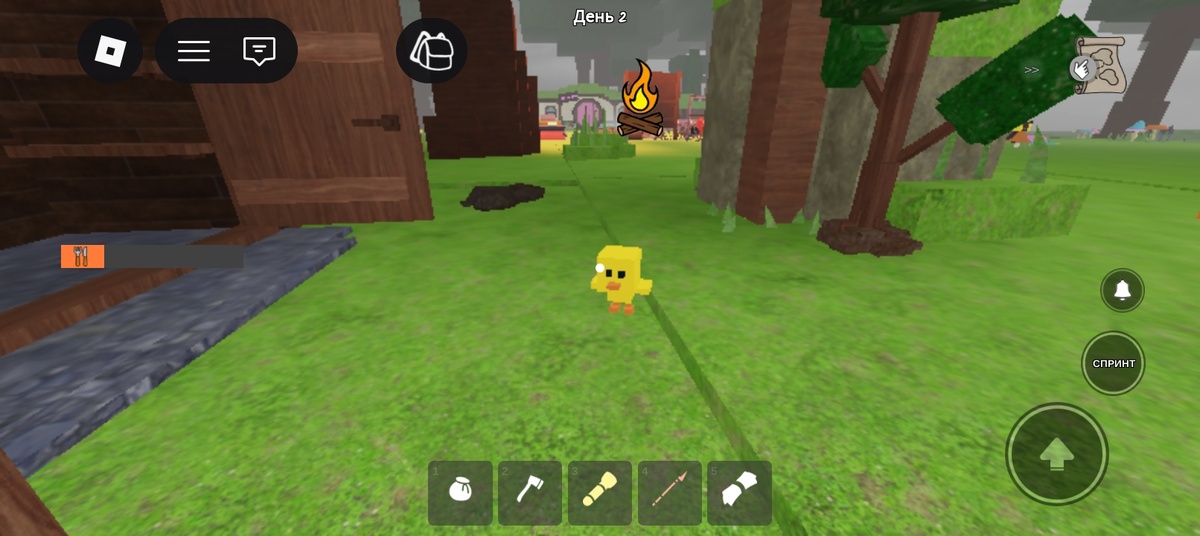 Киви, теперь ты такой не один.