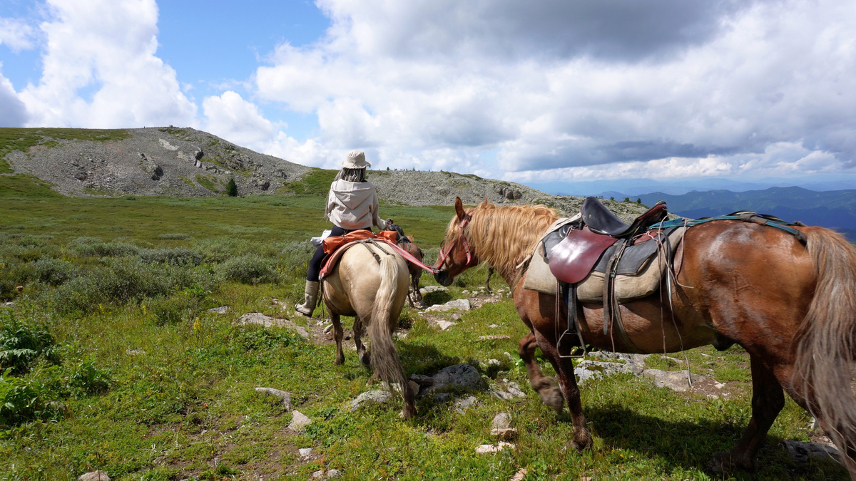 Проводник и лошадки, которые с легкостью преодолевают перевалы.