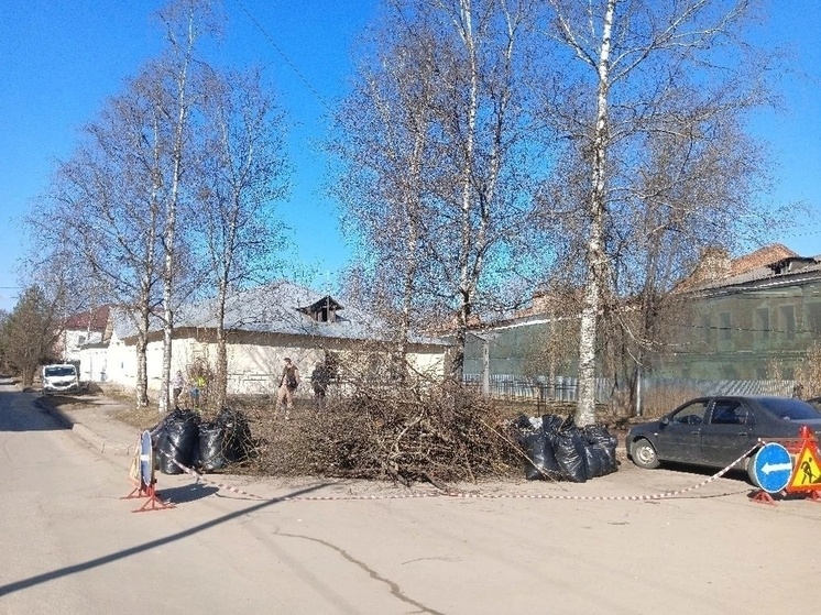     Жители убрали старые сухие и поломанные ветки дерева, собрали прошлогоднюю листву, мусор. Фото: соцсети ВКонтакте МКУ «Городское хозяйство»