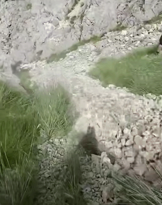 Источник и полное видео: https://t.me/sergeyshakhmatov/5492 