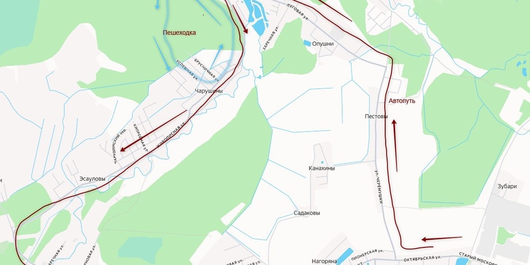 Где погулять в Кирове за городом? Закольцованный маршрут через ельник и реку