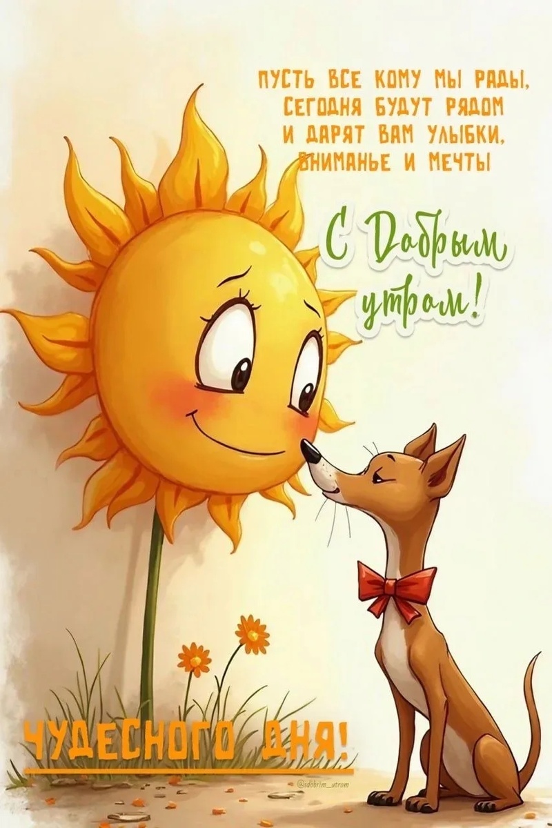 Фото из свободного доступа интернета