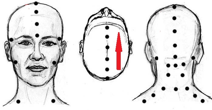 Направление движения руки соответствует движению энергии Ци по задне-срединному меридиану.