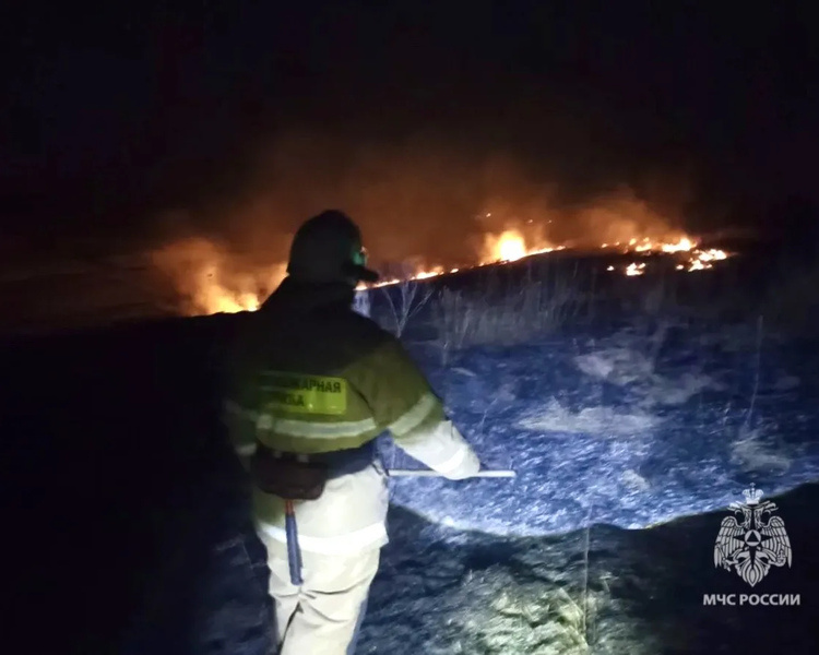     В Курской области тушили горящую траву на площади 200 квадратных метров