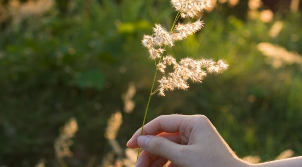 Замечательная беременность и роды после замершей беременности и диагноза «бесплодие».