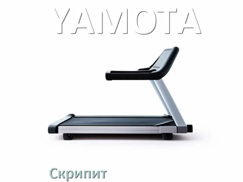 
Почему скрипит беговая дорожка YAMOTA при беге трещит и что делать