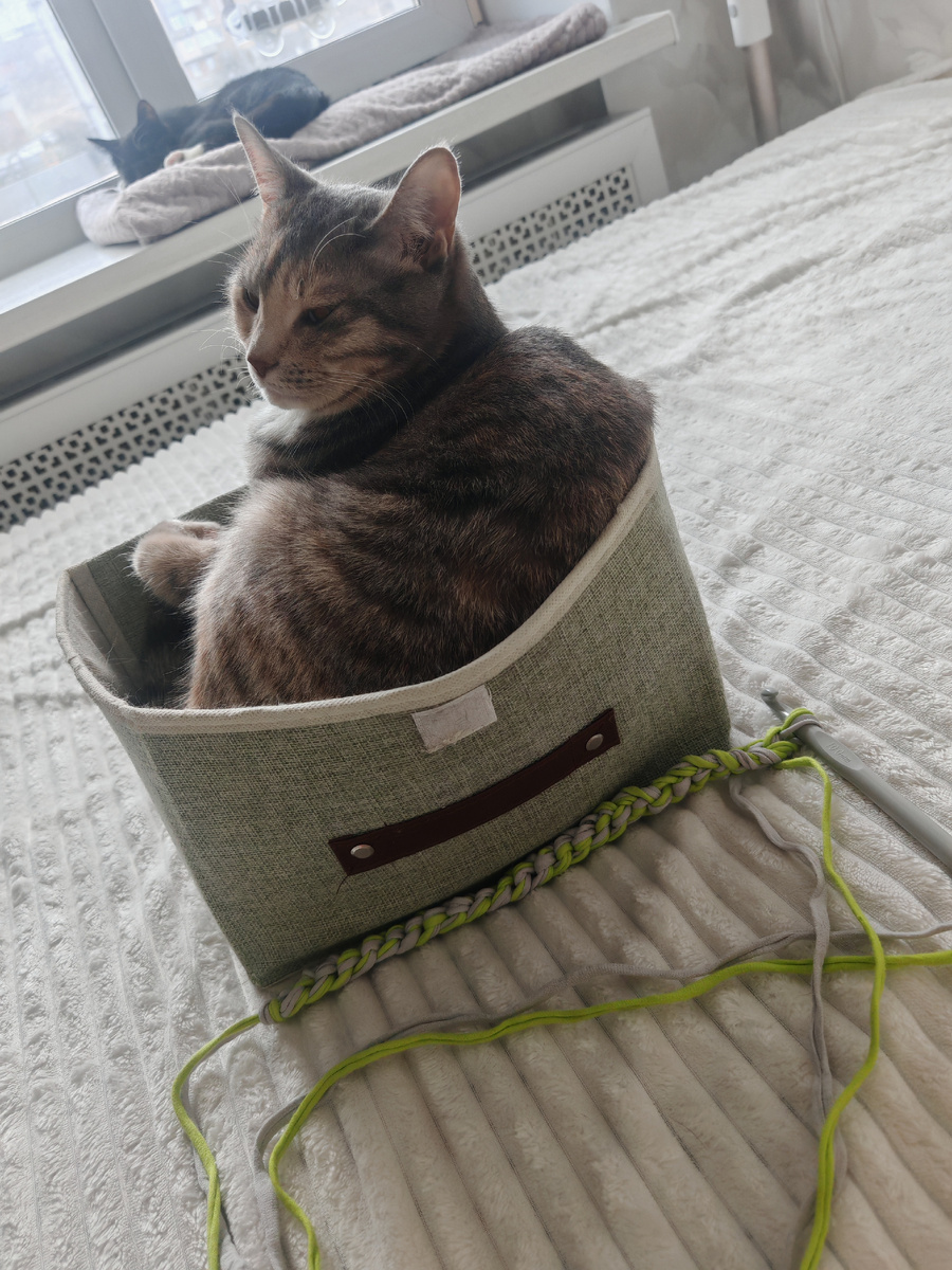 Измеряем длину кота в коробках.