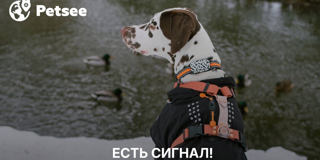 Почему GPS «сходит с ума» в 2026 году: правда о РЭБ, которую вам никто нормально не объяснил