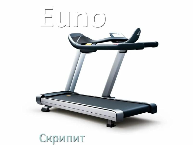 
Почему скрипит беговая дорожка Euno при беге трещит и что делать