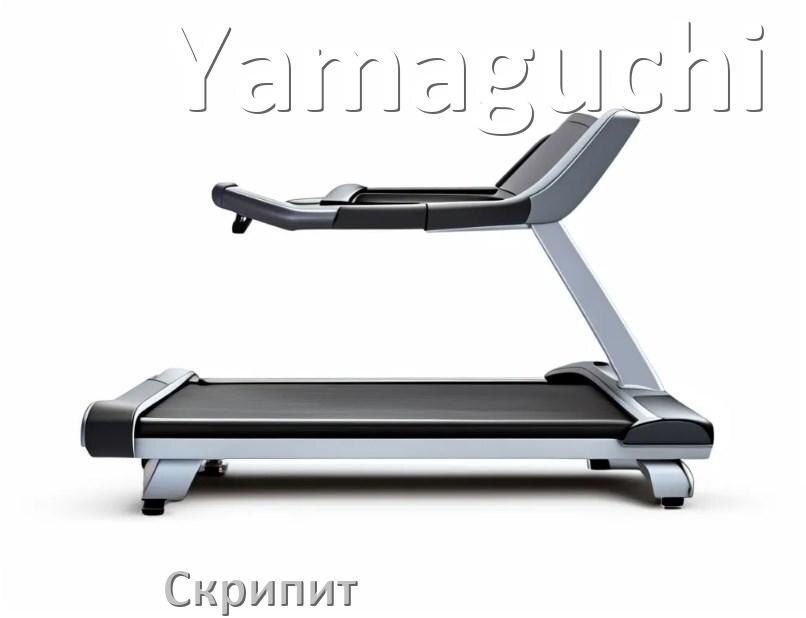 
Почему скрипит беговая дорожка Yamaguchi при беге трещит и что делать