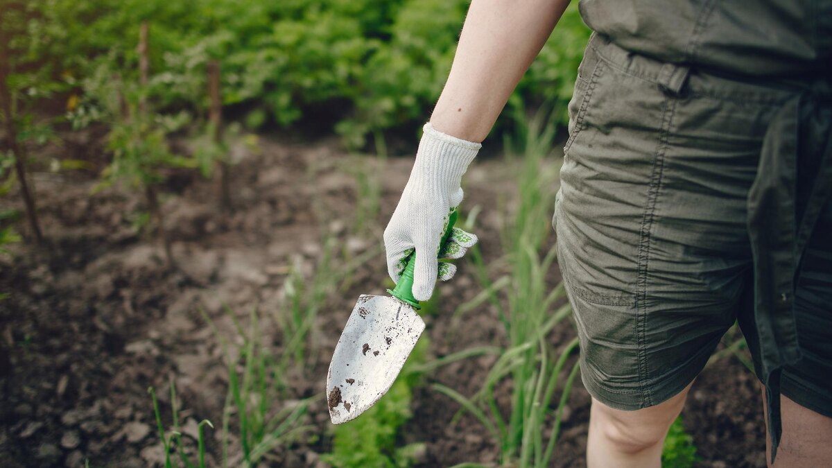 Фото: freepik.com