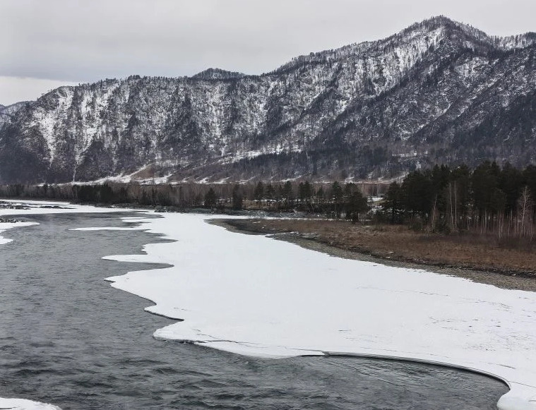 Фото из архива агентства недвижимости "Риэлт-Лидер"