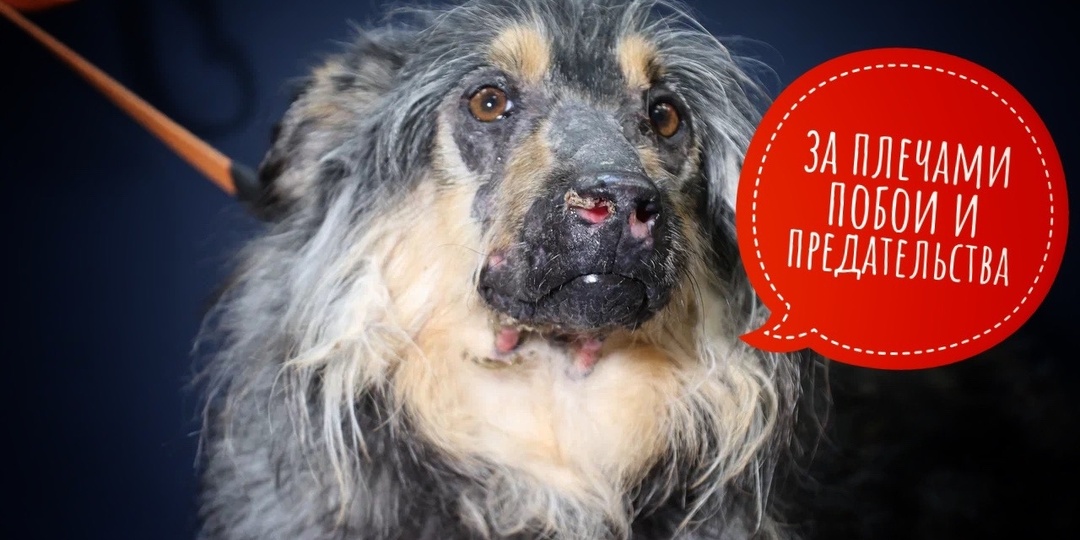 У многих за плечами — побои, предательство, жизнь в подворотни!