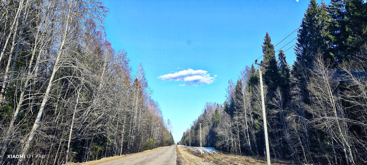 Дорога в лес.