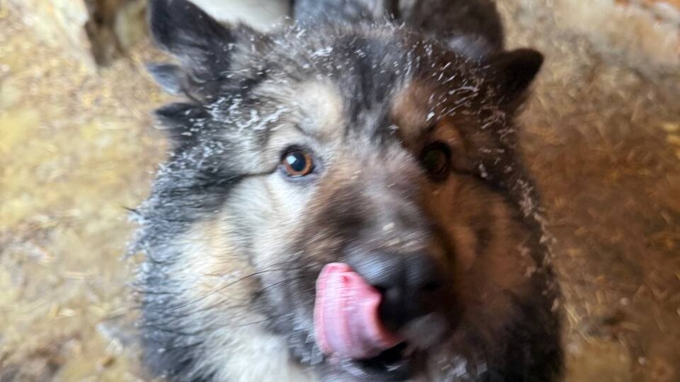 Набираемся терпения...