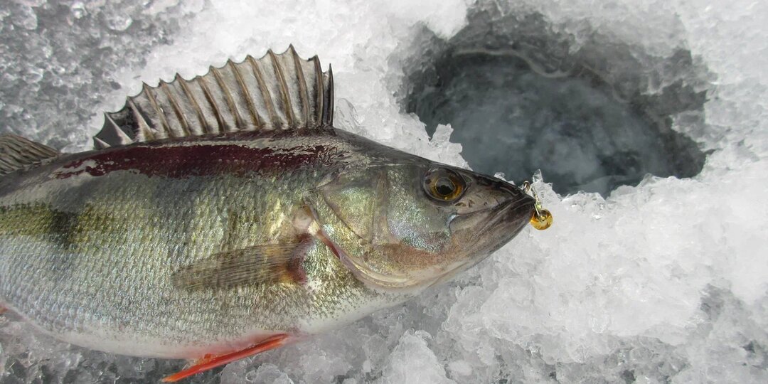 Ловля со льда на мормышку в завершении зимнего периода