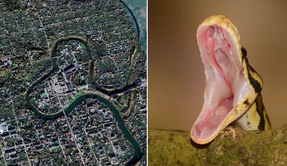 Излучина реки Кашинка в городе Кашин, похожая на открытый рот змеи.