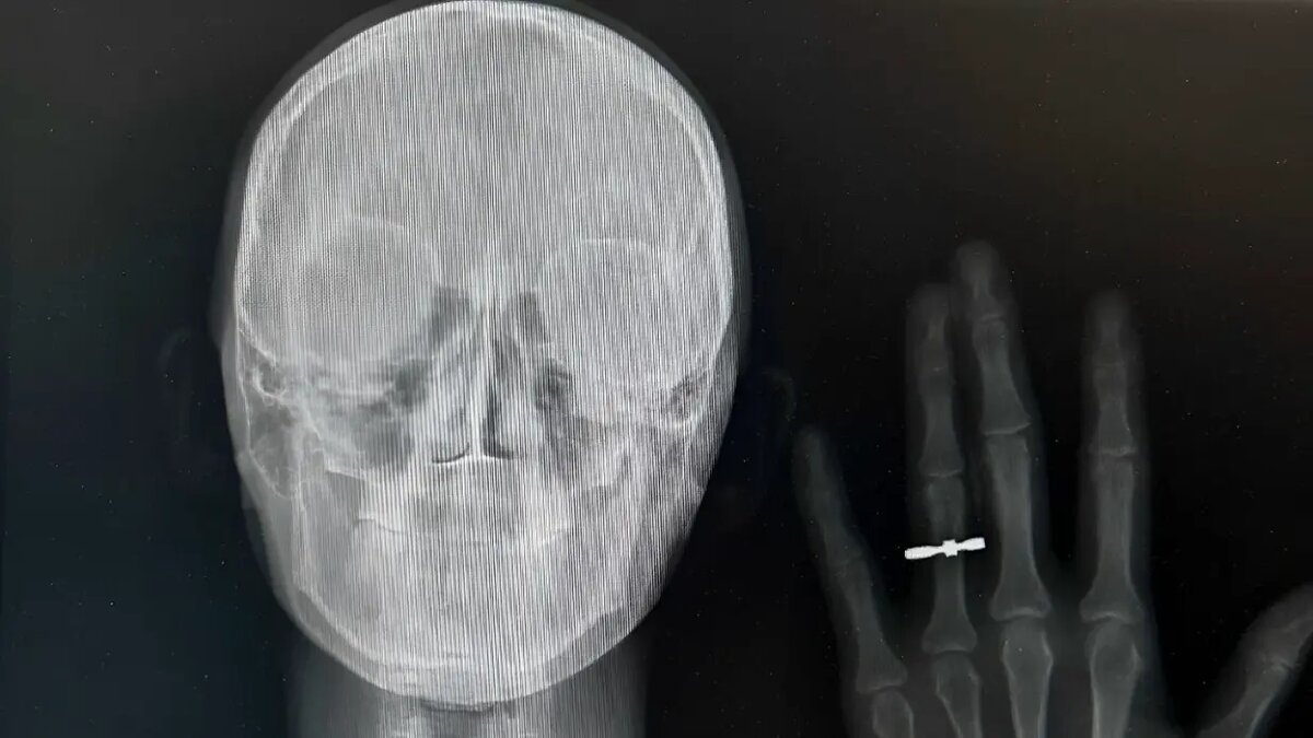    Источник: vm.ru/ Полина Белоусова