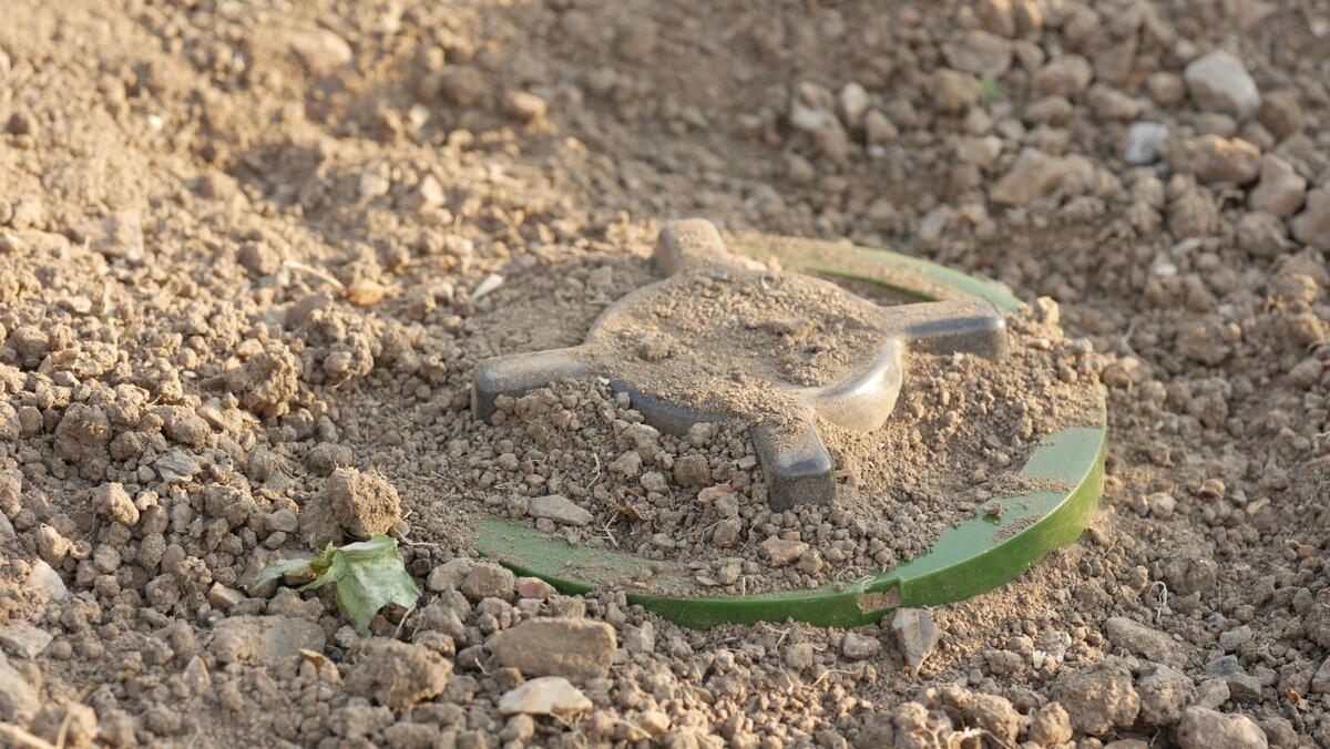    Фото: Zanger Zheleznogorov/Shutterstock/Fotodom